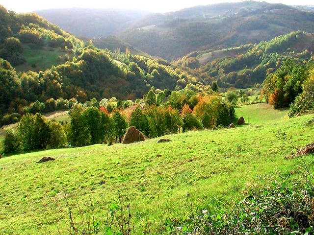 Торничка Бобија